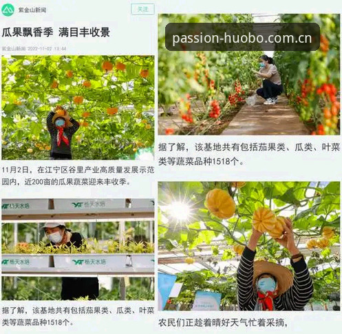 火博体育赛事回放安全吗？新手必看的全方位评测与操作指南